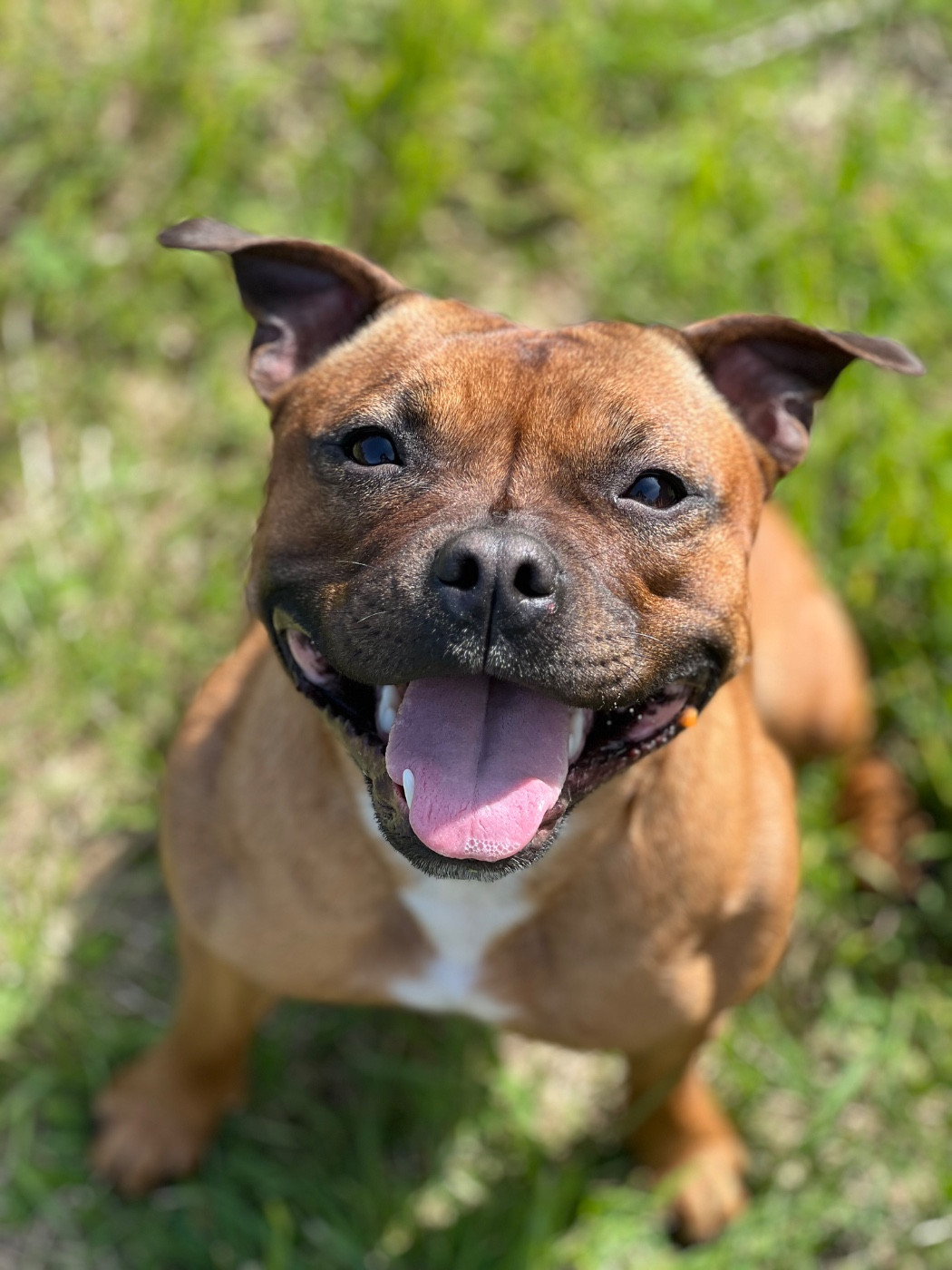 Utah Des Terres D'Olympe